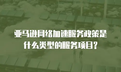 亚马逊网络加速服务政策是什么类型的服务项目?