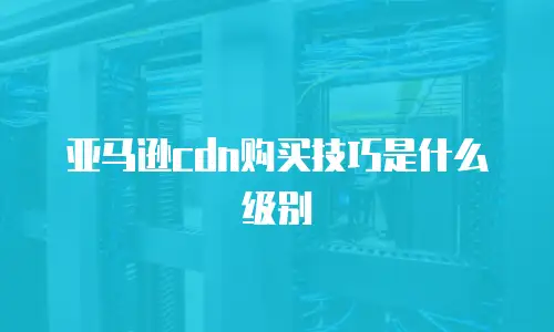 亚马逊cdn购买技巧是什么级别