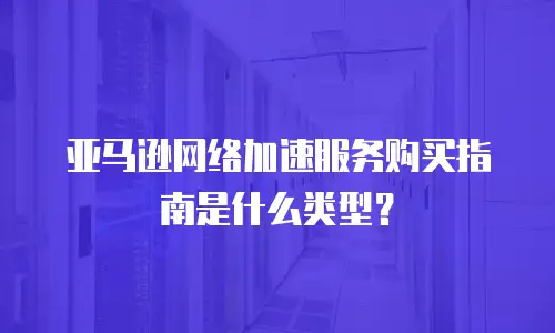 亚马逊网络加速服务购买指南是什么类型？