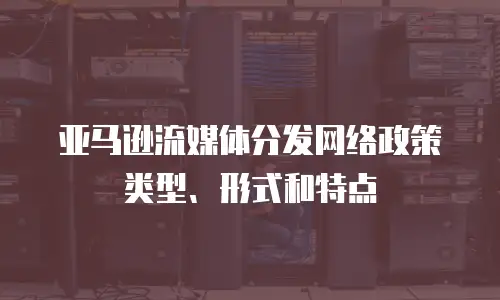 亚马逊流媒体分发网络政策类型、形式和特点
