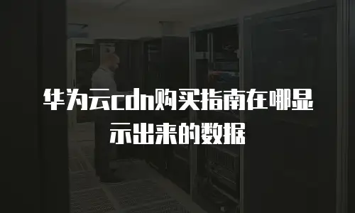 华为云cdn购买指南在哪显示出来的数据