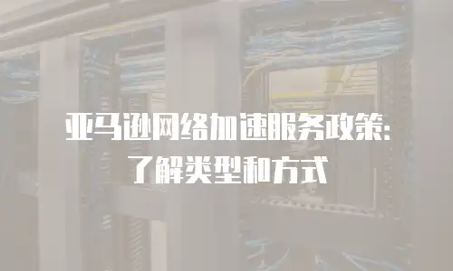 亚马逊网络加速服务政策：了解类型和方式