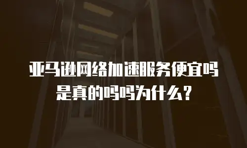 亚马逊网络加速服务便宜吗是真的吗吗为什么？