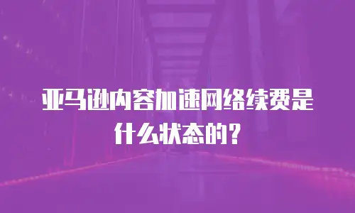 亚马逊内容加速网络续费是什么状态的？