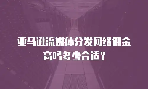 亚马逊流媒体分发网络佣金高吗多少合适？