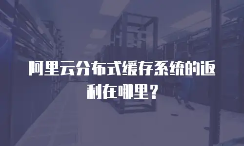 阿里云分布式缓存系统的返利在哪里？