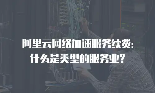 阿里云网络加速服务续费：什么是类型的服务业？