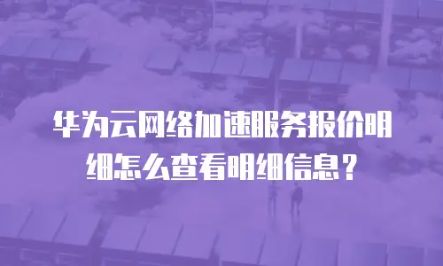 华为云网络加速服务报价明细怎么查看明细信息？