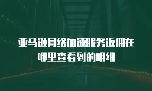 亚马逊网络加速服务返佣在哪里查看到的明细