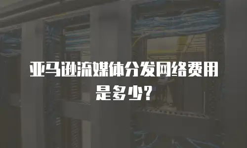 亚马逊流媒体分发网络费用是多少？