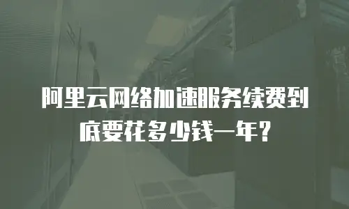 阿里云网络加速服务续费到底要花多少钱一年？