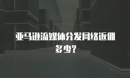 亚马逊流媒体分发网络返佣多少？