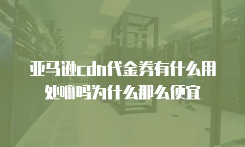 亚马逊cdn代金券有什么用处嘛吗为什么那么便宜