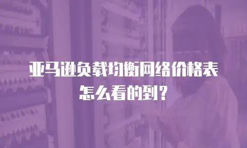 亚马逊负载均衡网络价格表怎么看的到？