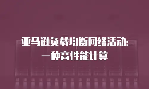 亚马逊负载均衡网络活动：一种高性能计算