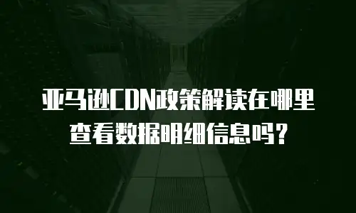 亚马逊CDN政策解读在哪里查看数据明细信息吗？
