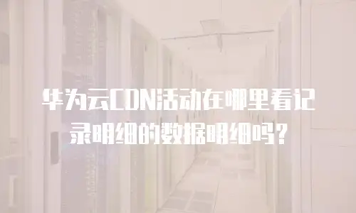 华为云CDN活动在哪里看记录明细的数据明细吗？