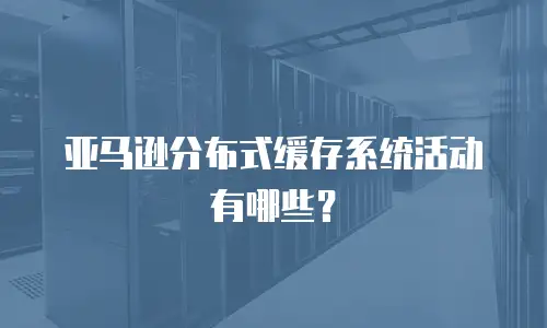 亚马逊分布式缓存系统活动有哪些？