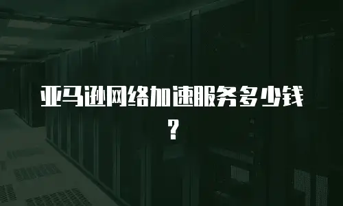 亚马逊网络加速服务多少钱？