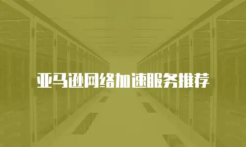 亚马逊网络加速服务推荐