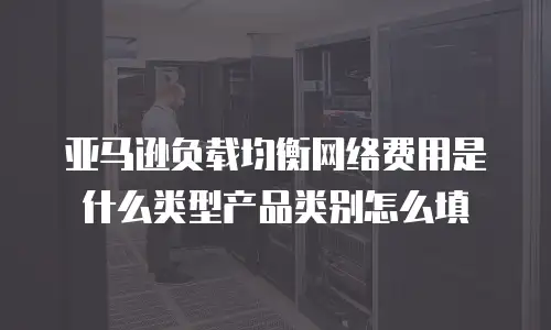 亚马逊负载均衡网络费用是什么类型产品类别怎么填