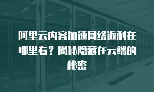 阿里云内容加速网络返利在哪里看？揭秘隐藏在云端的秘密