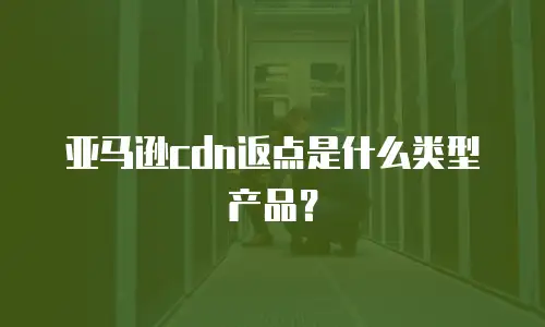 亚马逊cdn返点是什么类型产品？