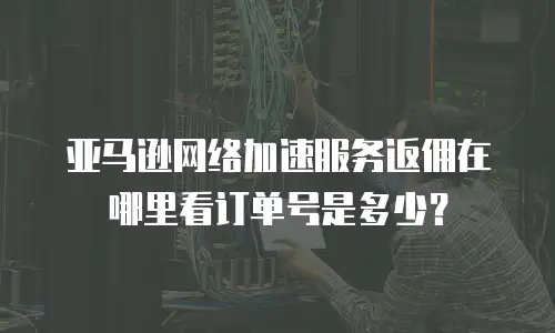 亚马逊网络加速服务返佣在哪里看订单号是多少？