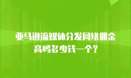 亚马逊流媒体分发网络佣金高吗多少钱一个？