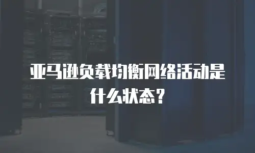 亚马逊负载均衡网络活动是什么状态？