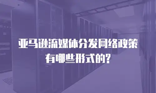 亚马逊流媒体分发网络政策有哪些形式的?