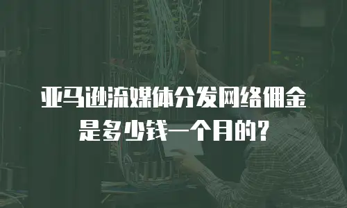 亚马逊流媒体分发网络佣金是多少钱一个月的？