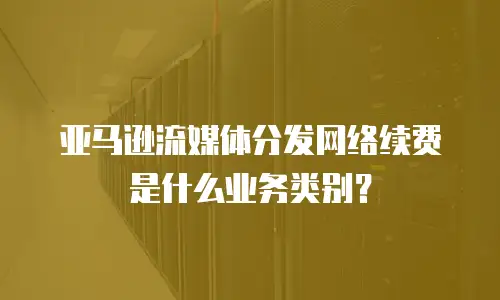 亚马逊流媒体分发网络续费是什么业务类别？