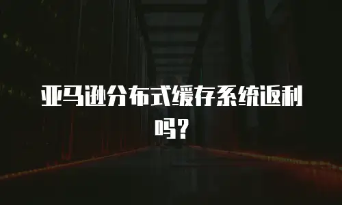 亚马逊分布式缓存系统返利吗？