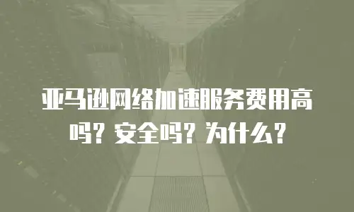 亚马逊网络加速服务费用高吗？安全吗？为什么？
