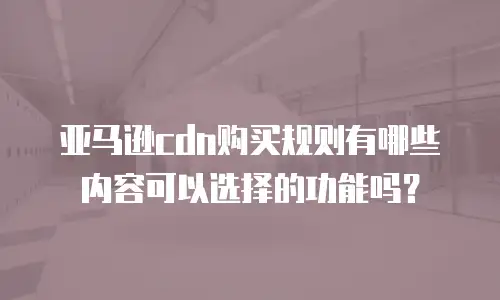 亚马逊cdn购买规则有哪些内容可以选择的功能吗？