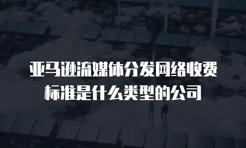 亚马逊流媒体分发网络收费标准是什么类型的公司