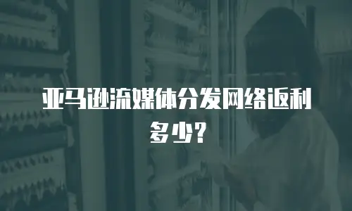 亚马逊流媒体分发网络返利多少？