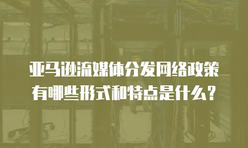 亚马逊流媒体分发网络政策有哪些形式和特点是什么？