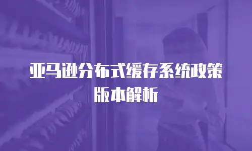 亚马逊分布式缓存系统政策版本解析