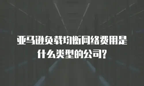亚马逊负载均衡网络费用是什么类型的公司?