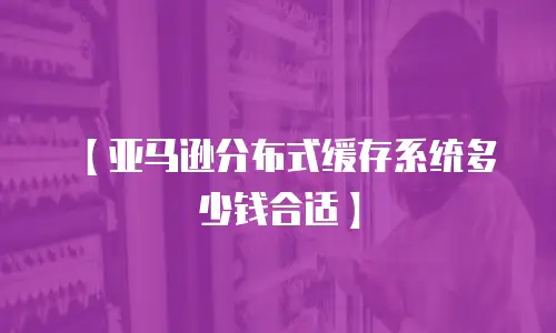 【亚马逊分布式缓存系统多少钱合适】
