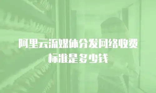 阿里云流媒体分发网络收费标准是多少钱