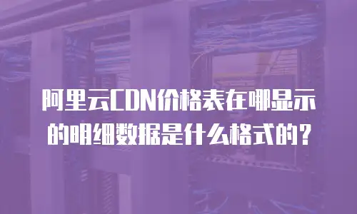 阿里云CDN价格表在哪显示的明细数据是什么格式的？