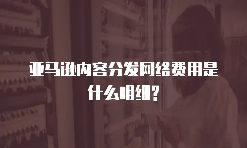 亚马逊内容分发网络费用是什么明细?