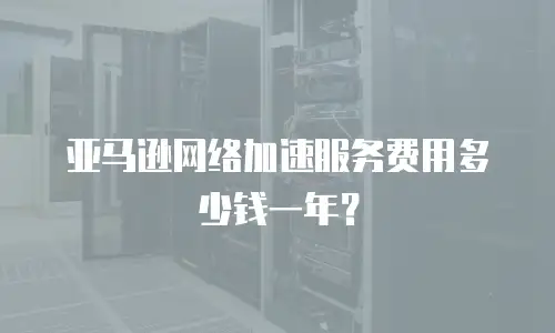 亚马逊网络加速服务费用多少钱一年？