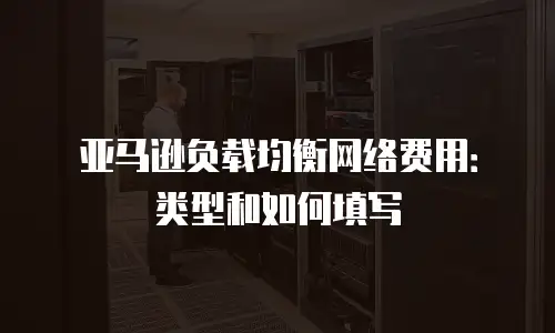 亚马逊负载均衡网络费用：类型和如何填写