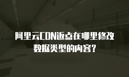 阿里云CDN返点在哪里修改数据类型的内容？