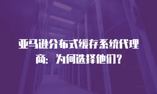 亚马逊分布式缓存系统代理商：为何选择他们？