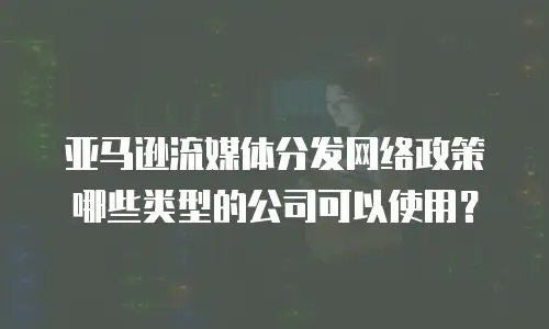 亚马逊流媒体分发网络政策哪些类型的公司可以使用？